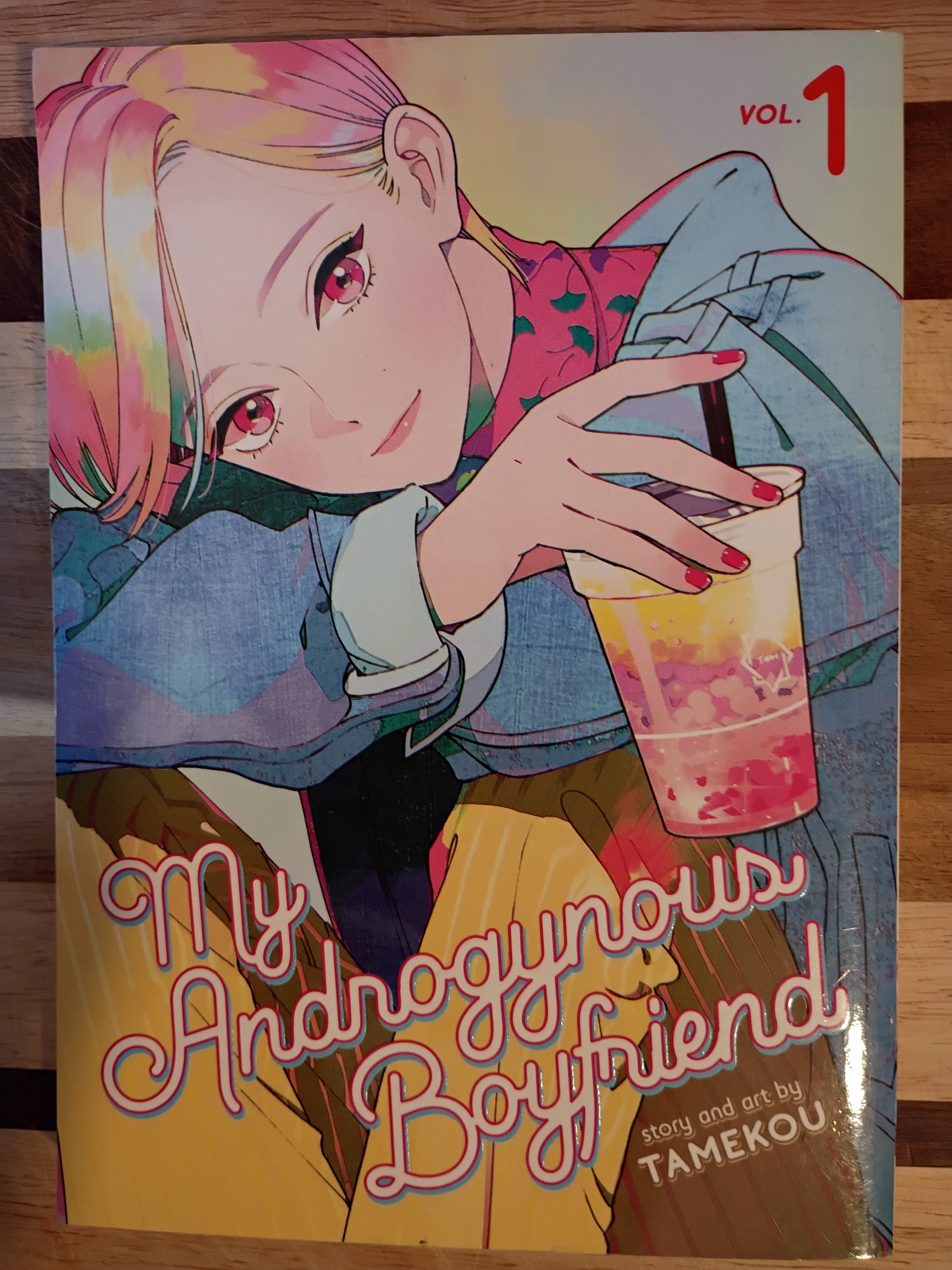 My Androgynous Boyfriend Vol. 1 by Tamekou